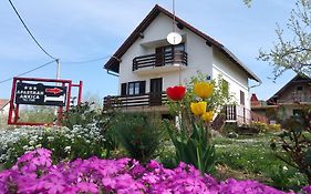 Apartment Ankica