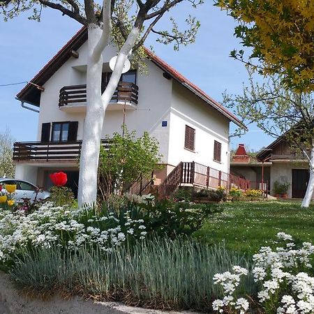 Apartment Ankica Selište Drežničko Kültér fotó