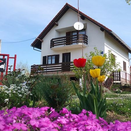Apartment Ankica Selište Drežničko Kültér fotó