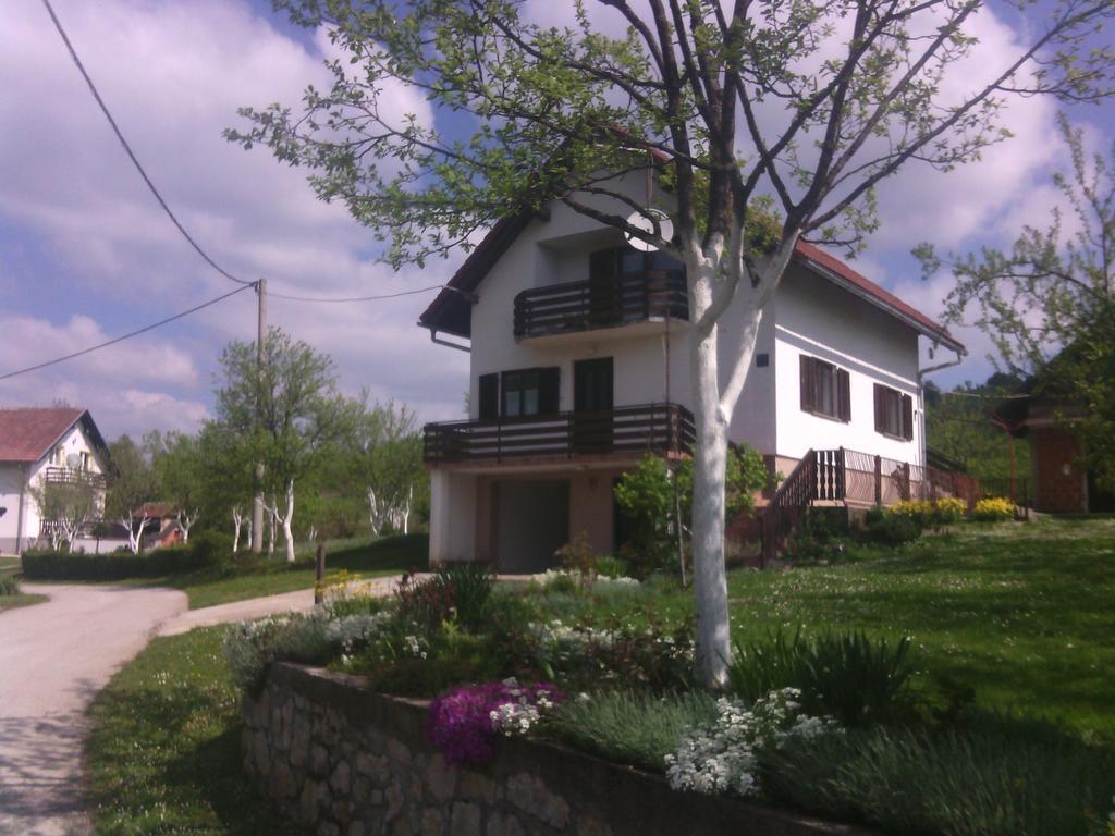 Apartment Ankica Selište Drežničko Szoba fotó