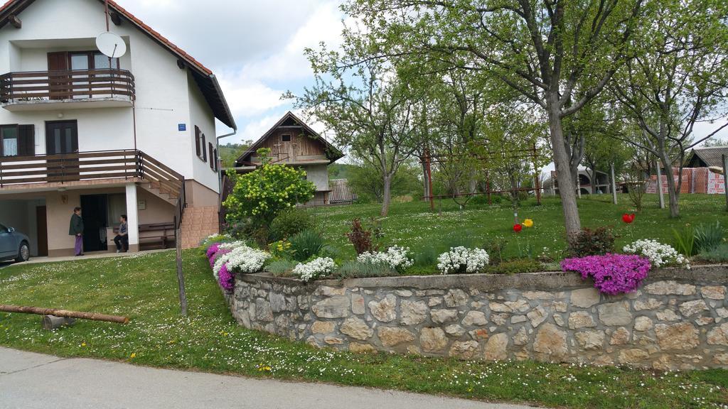 Apartment Ankica Selište Drežničko Kültér fotó