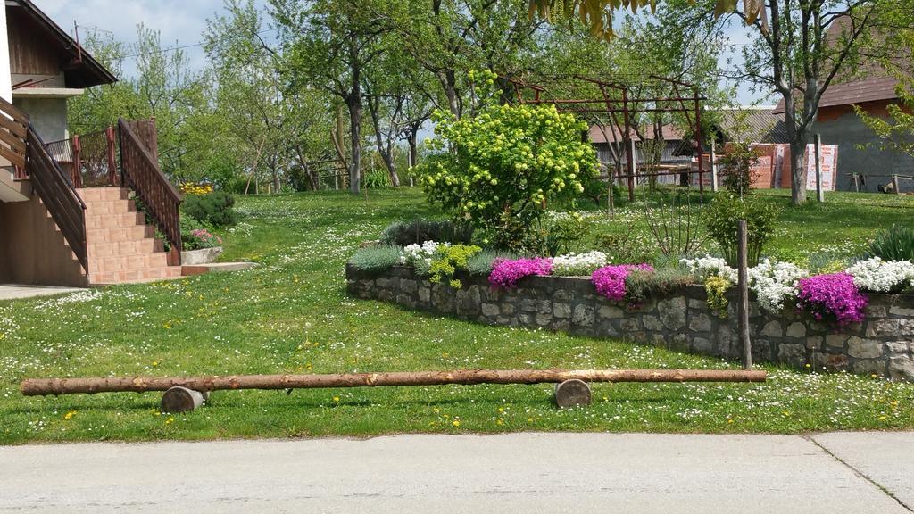 Apartment Ankica Selište Drežničko Kültér fotó