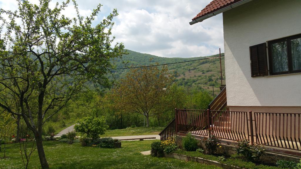 Apartment Ankica Selište Drežničko Kültér fotó