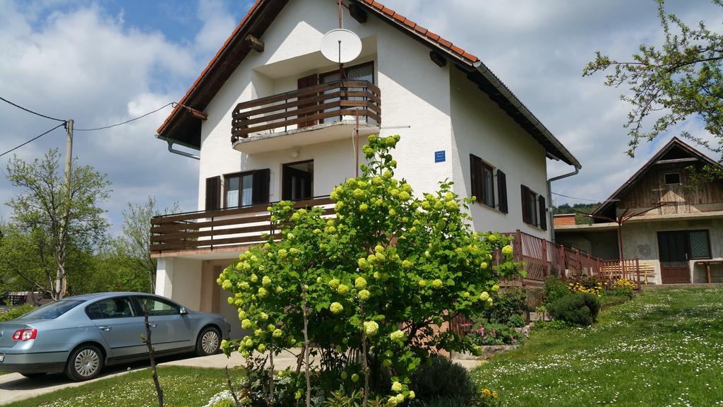 Apartment Ankica Selište Drežničko Kültér fotó