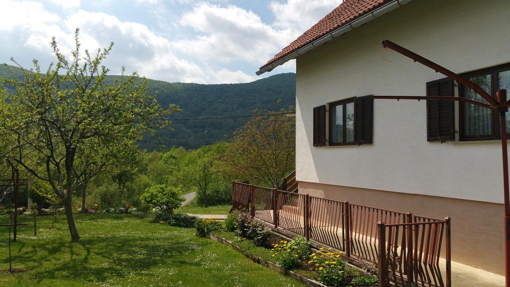 Apartment Ankica Selište Drežničko Kültér fotó
