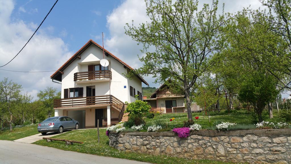 Apartment Ankica Selište Drežničko Kültér fotó