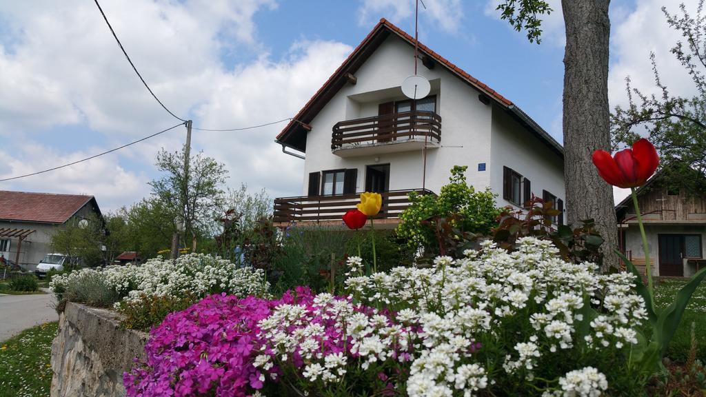 Apartment Ankica Selište Drežničko Kültér fotó