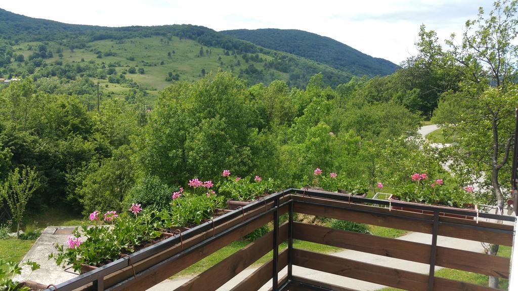 Apartment Ankica Selište Drežničko Kültér fotó