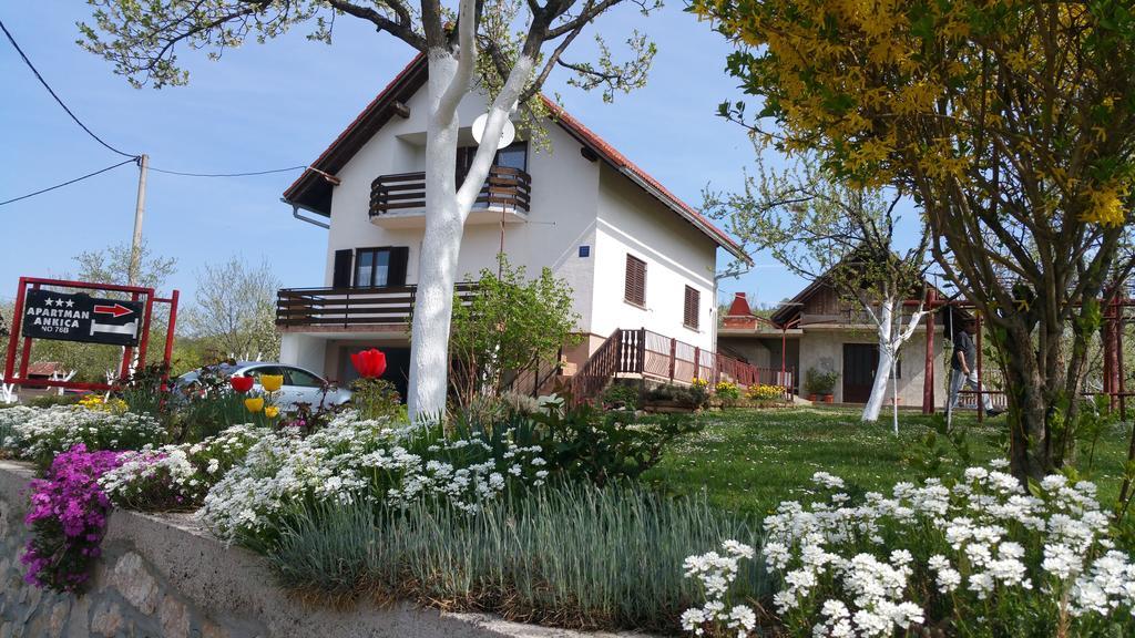 Apartment Ankica Selište Drežničko Kültér fotó