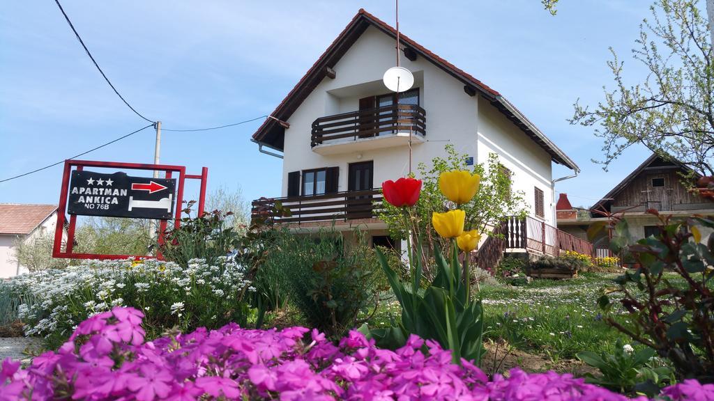 Apartment Ankica Selište Drežničko Kültér fotó