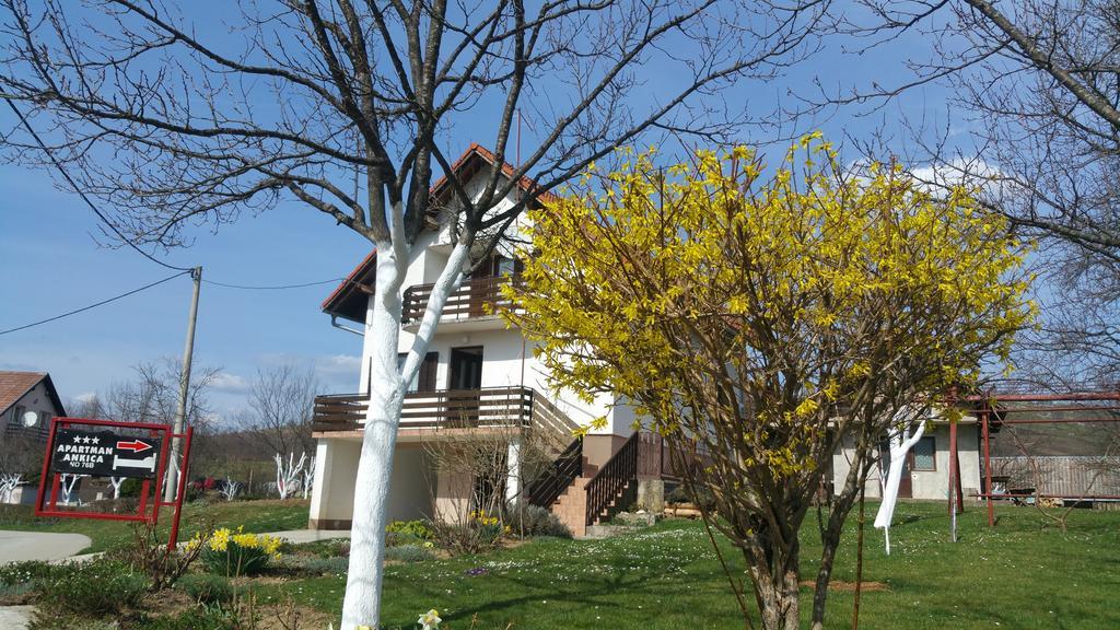 Apartment Ankica Selište Drežničko Kültér fotó