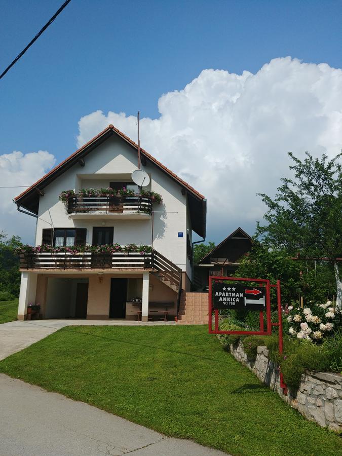 Apartment Ankica Selište Drežničko Kültér fotó