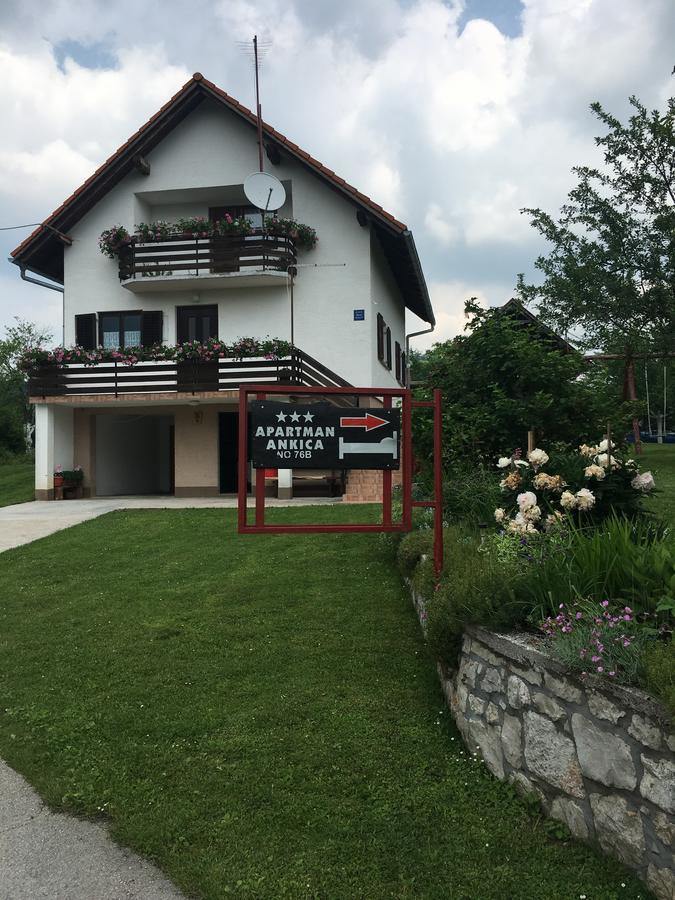 Apartment Ankica Selište Drežničko Kültér fotó