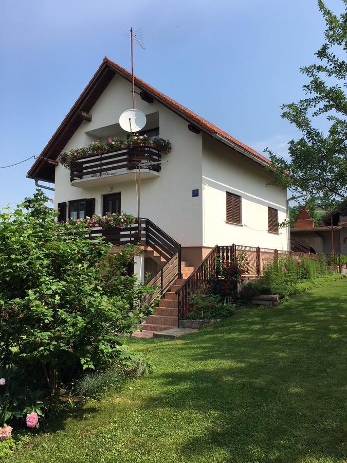 Apartment Ankica Selište Drežničko Kültér fotó