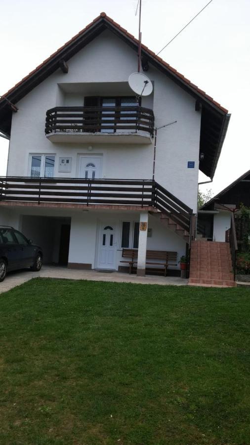 Apartment Ankica Selište Drežničko Kültér fotó