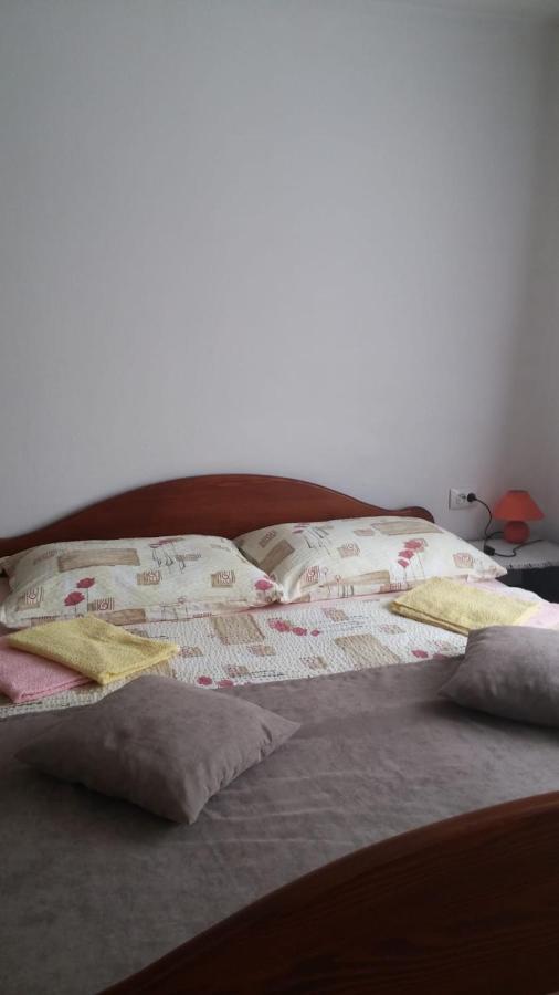 Apartment Ankica Selište Drežničko Kültér fotó