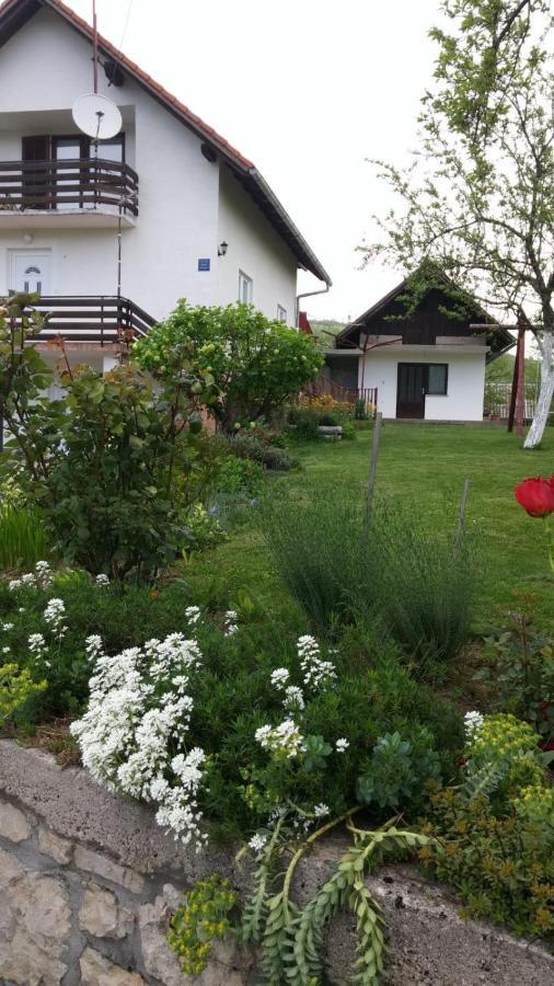 Apartment Ankica Selište Drežničko Kültér fotó