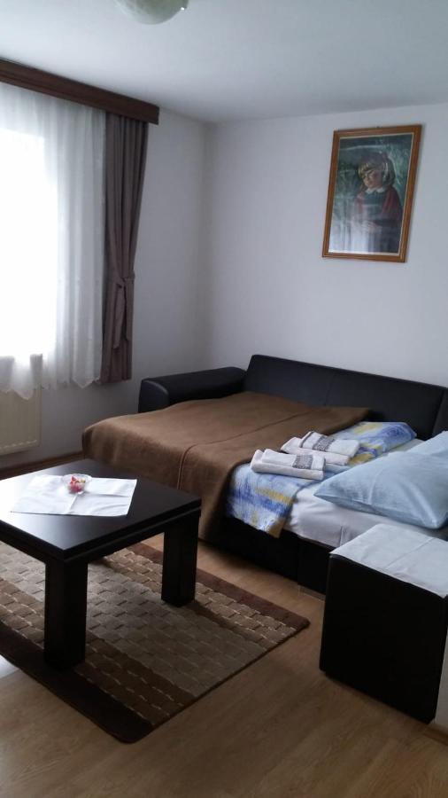 Apartment Ankica Selište Drežničko Kültér fotó